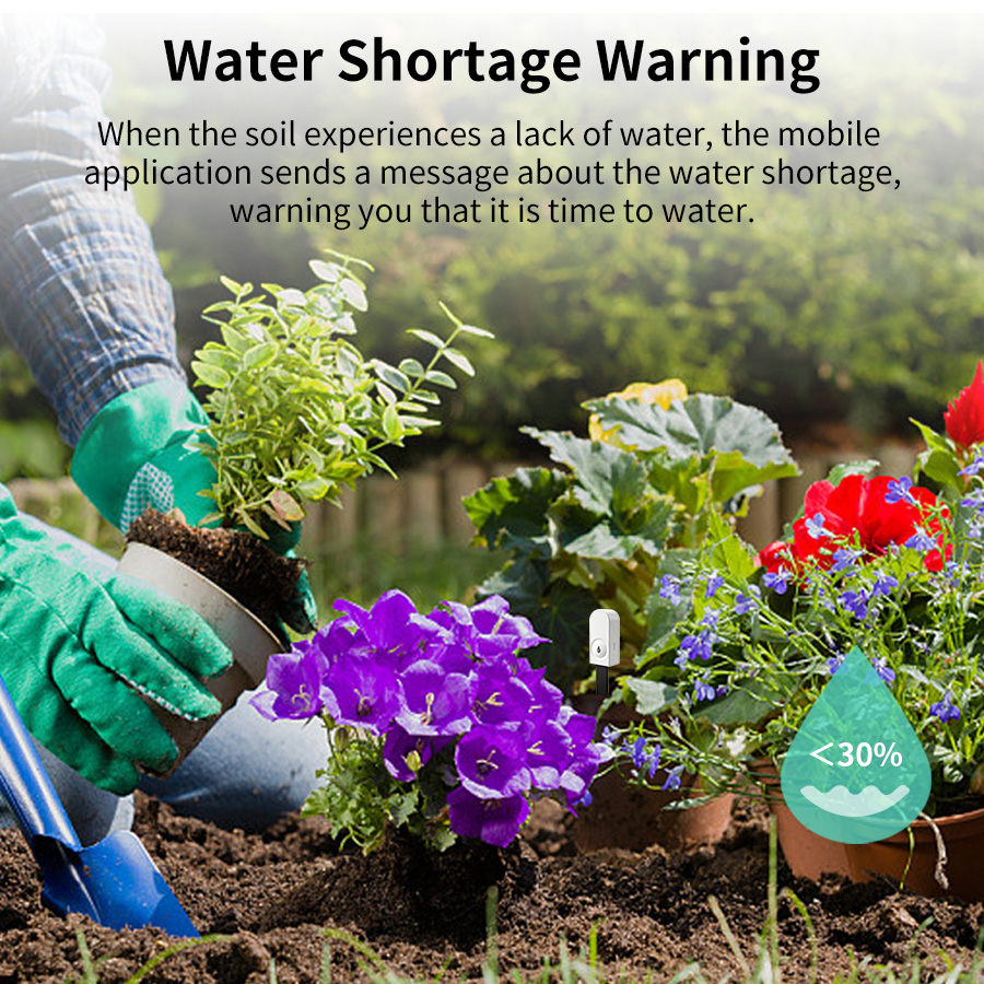 เซ็นเซอร์วัดความชื้นในดินอัจฉร - Smart Garden Products บทวิจารณ์และราคา