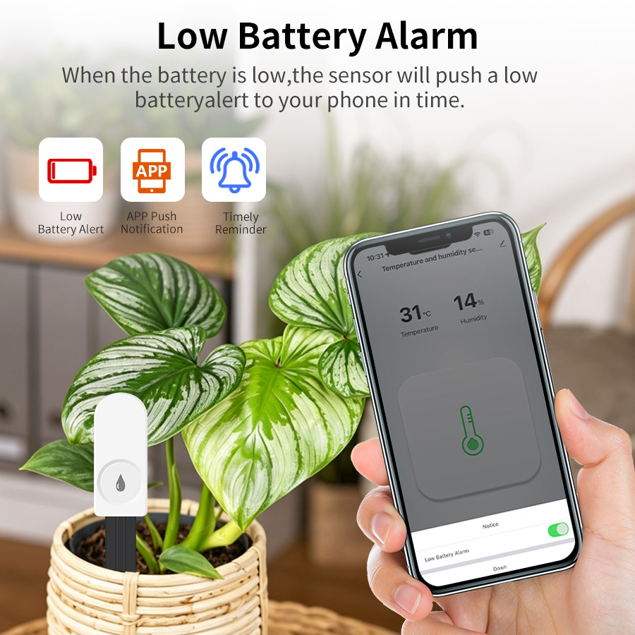 เซ็นเซอร์วัดความชื้นในดินอัจฉร - Smart Garden Products บทวิจารณ์และราคา